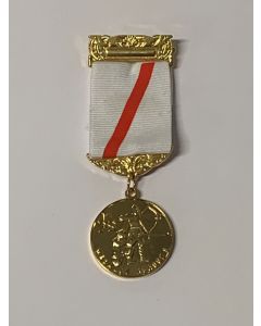 LDKS Medalje Bane/felt kl 2 Gylt