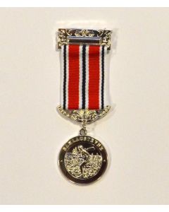 LDKS Medalje Skogsløp med skyting Sølv